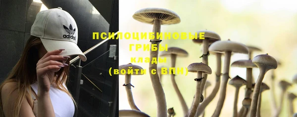 ешки Армянск