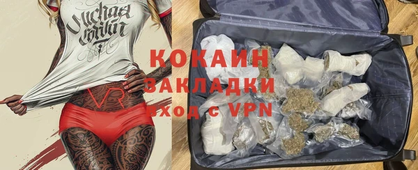 трава Аркадак