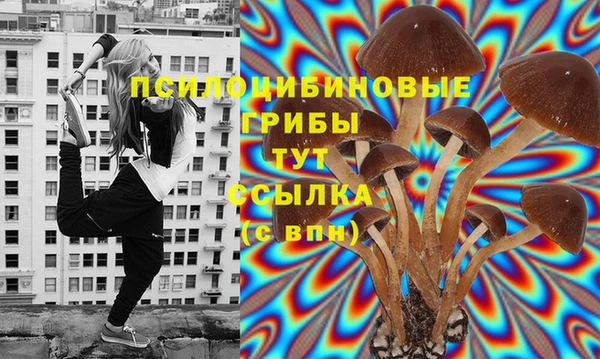 скорость Арсеньев