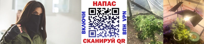 mega tor Валдай Каннабис Bruce Banner